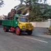 Fotos Kerala Nov-Dez 2011 teil 2 304.jpg